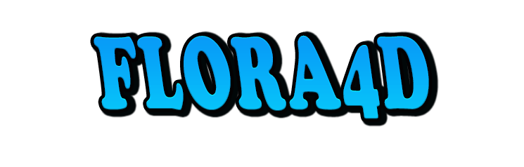 Flora4d