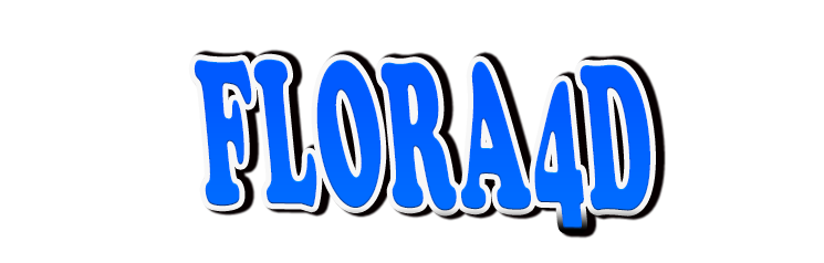 FLORA4D